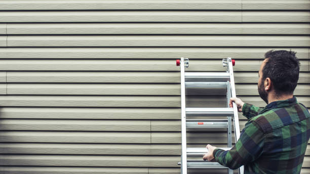 Best Siding Painting and Refinishing  in Rosemont, IL