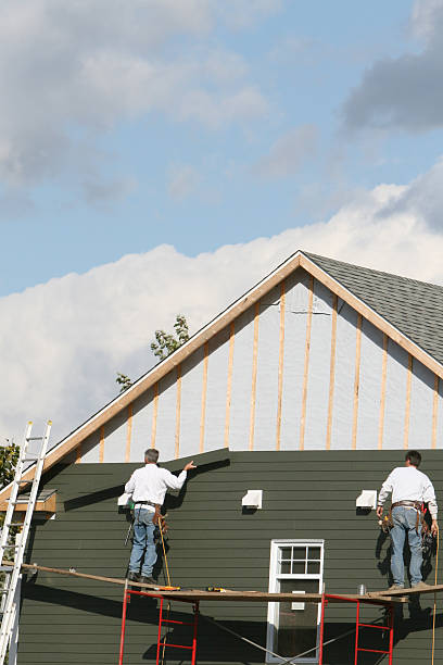 Best Aluminum Siding Installation  in Rosemont, IL