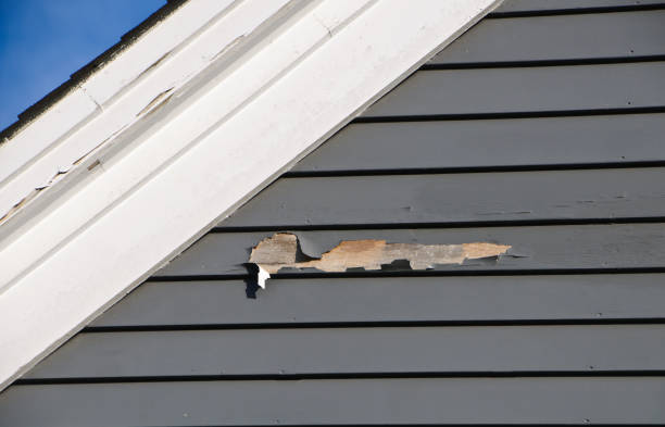 Best Vinyl Siding Installation  in Rosemont, IL